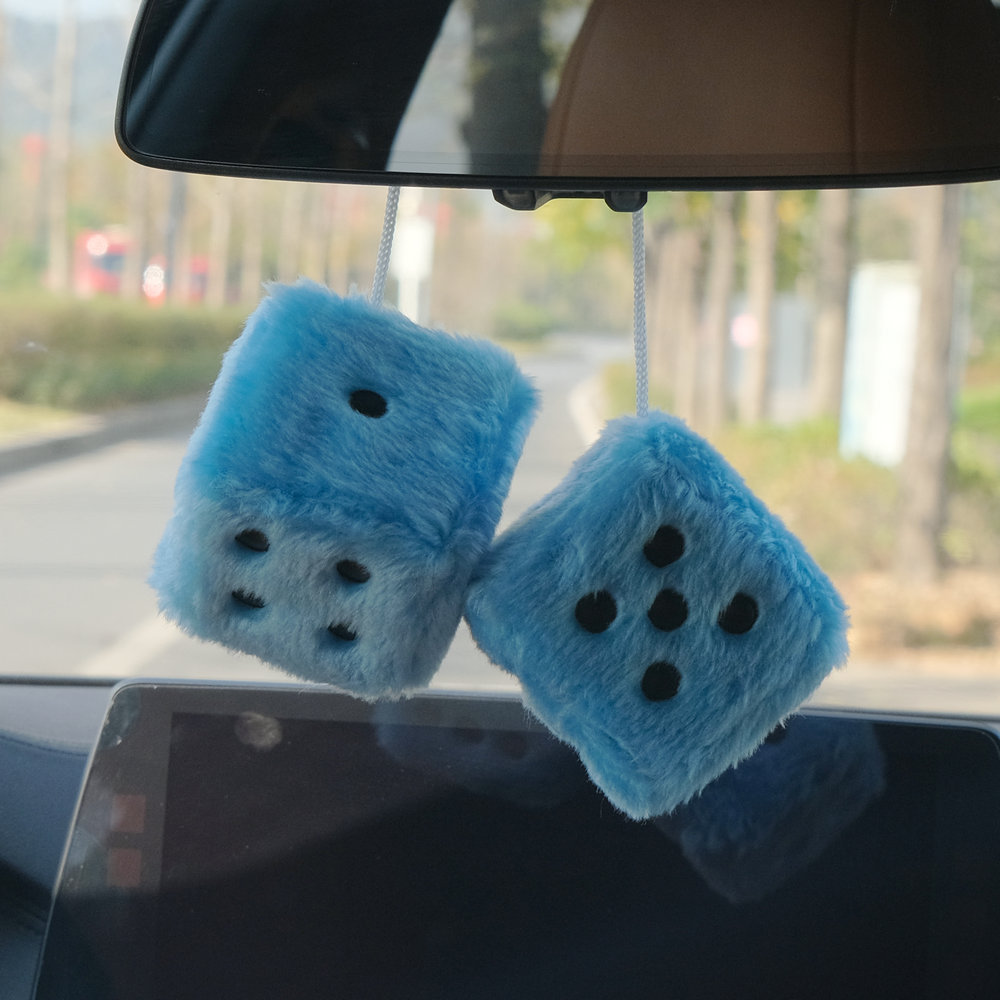 DSCF3045
