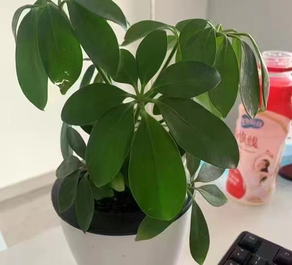 微信图片_20231201215221