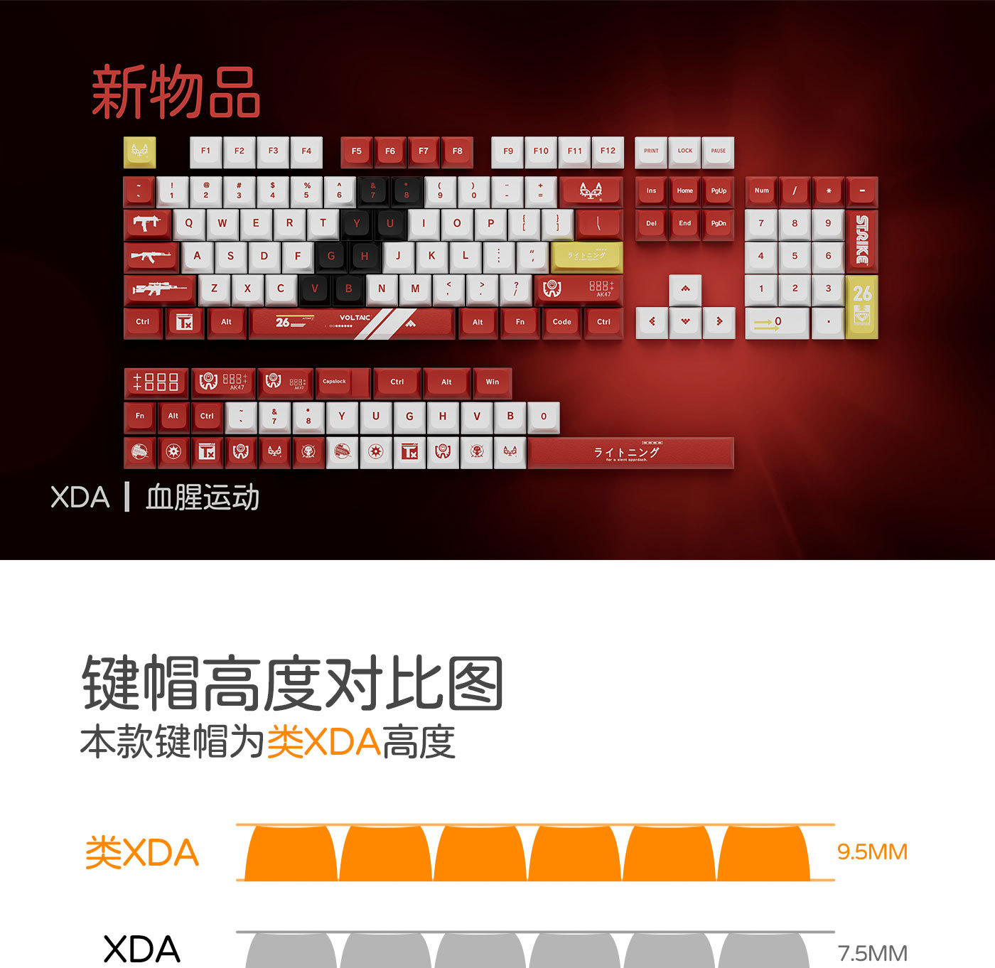 血腥运动详情{无字根}_01.jpg