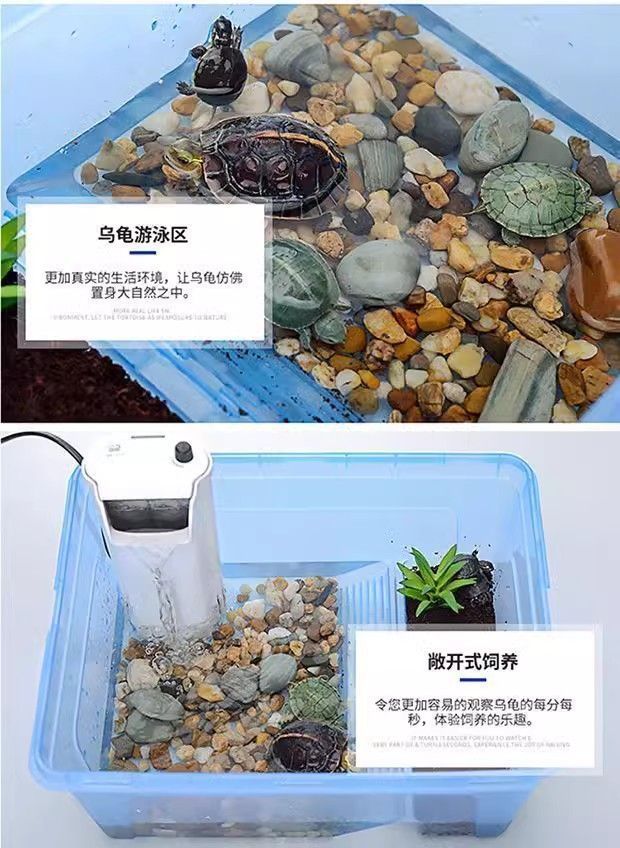 71cd9230-0187-45f9-9a0d-c25f1689ba7c.jpe