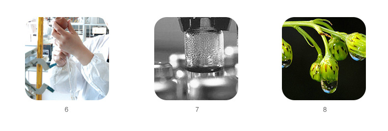 13(1)