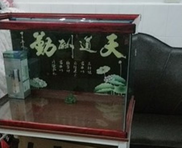 fb16cd98-43e2-4a11-b055-ff528d86f65a.jpe