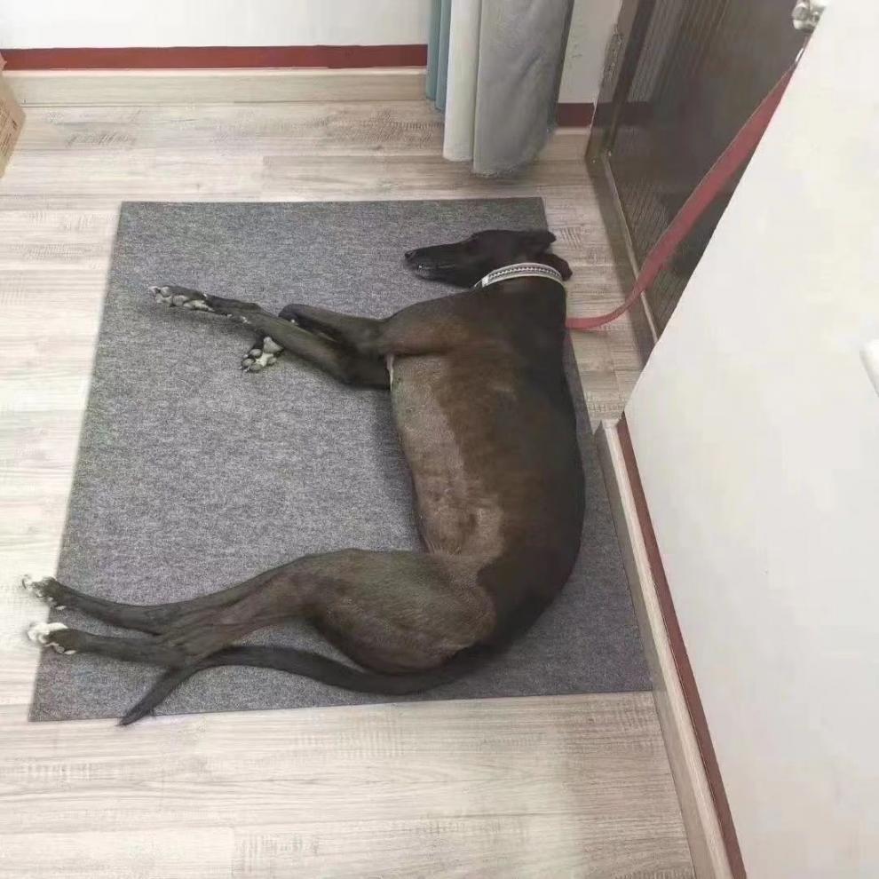 7687d349-55af-4cd0-896a-52930eacc028.jpe