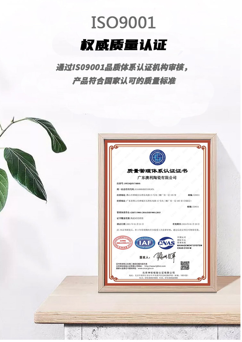 公司介绍_02.jpg?x-oss-process=image/format,png