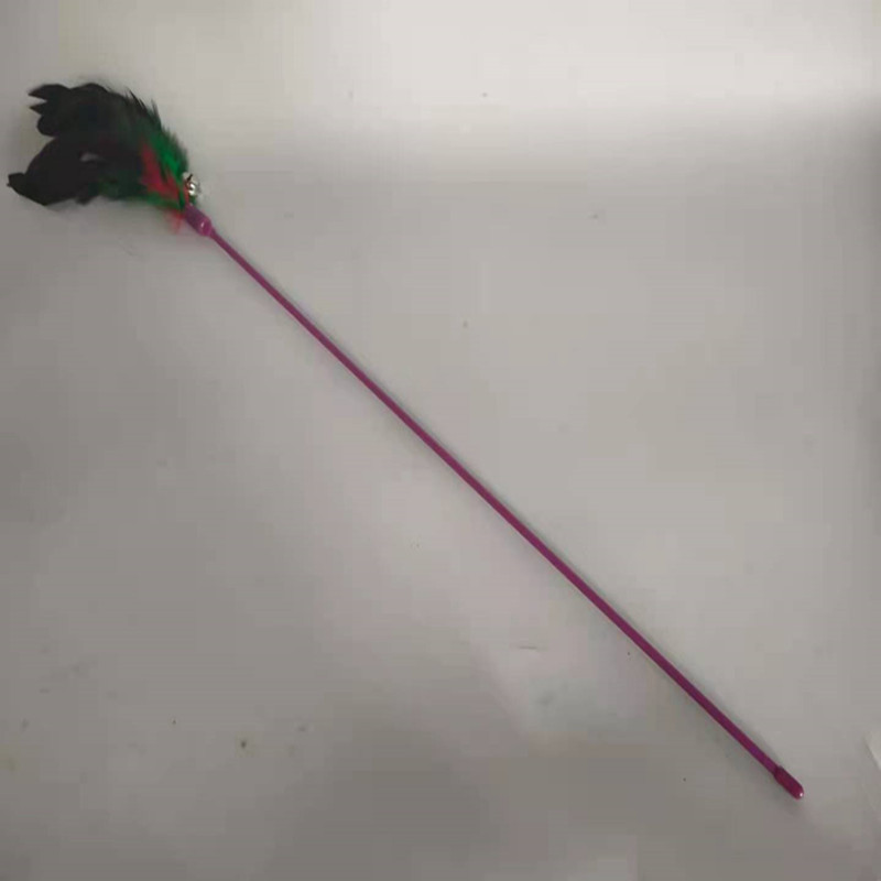 微信图片_20210610075647