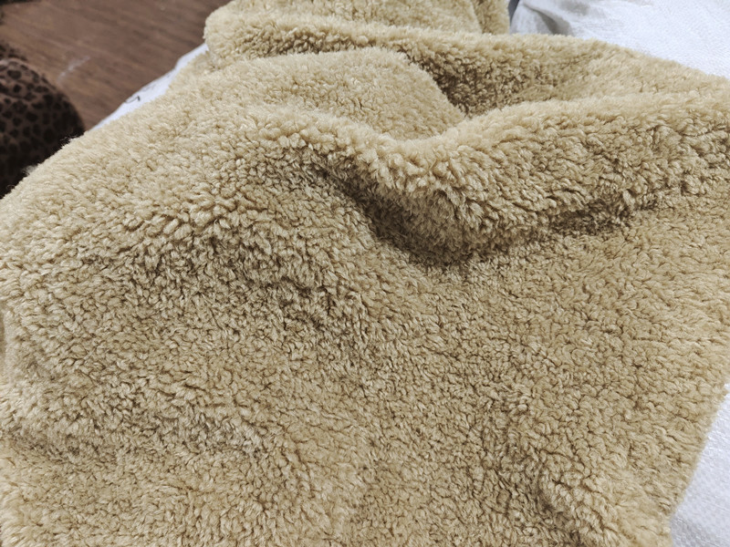 IMG_20241117_122053_副本