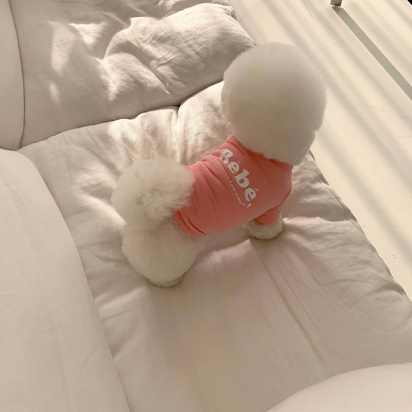 mon_ami.official_278417664_398