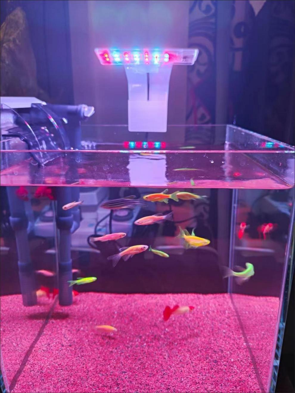 4d53b0e4-dc5c-4359-9a41-90017d2e7e56.jpe