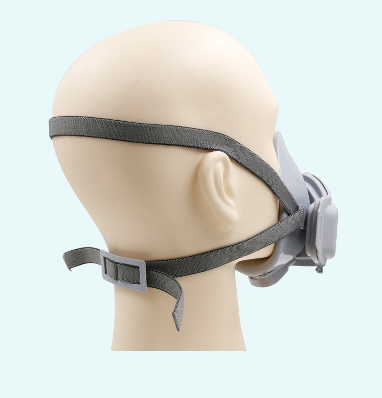 8562033452_1035426824