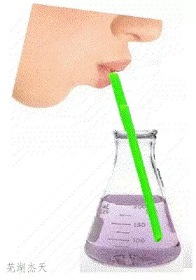 6a565f63ed8d62d8e61a766f68d2e6