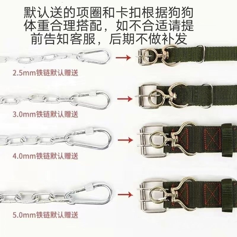1596b9ee-1b55-4299-896c-b45096451083.jpe