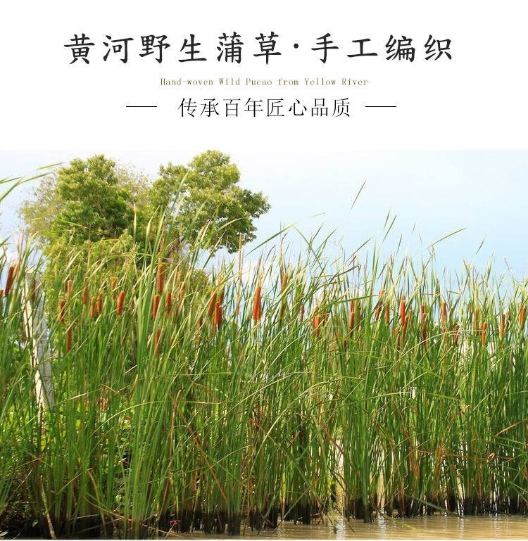 74f55883-aefb-4036-95ad-4e8f97d2a89f.jpe