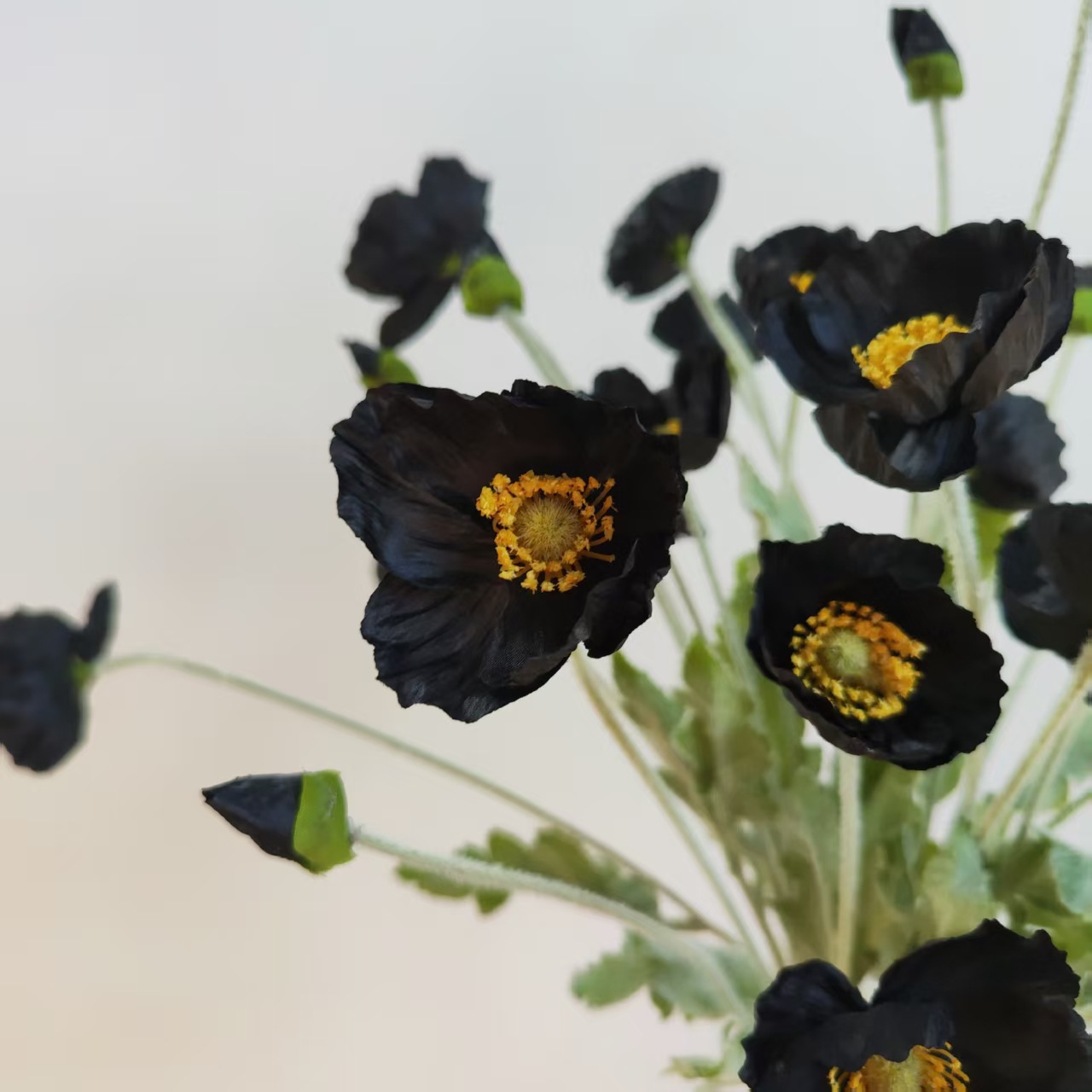 f9b75b92db95430781f7b5d41834de