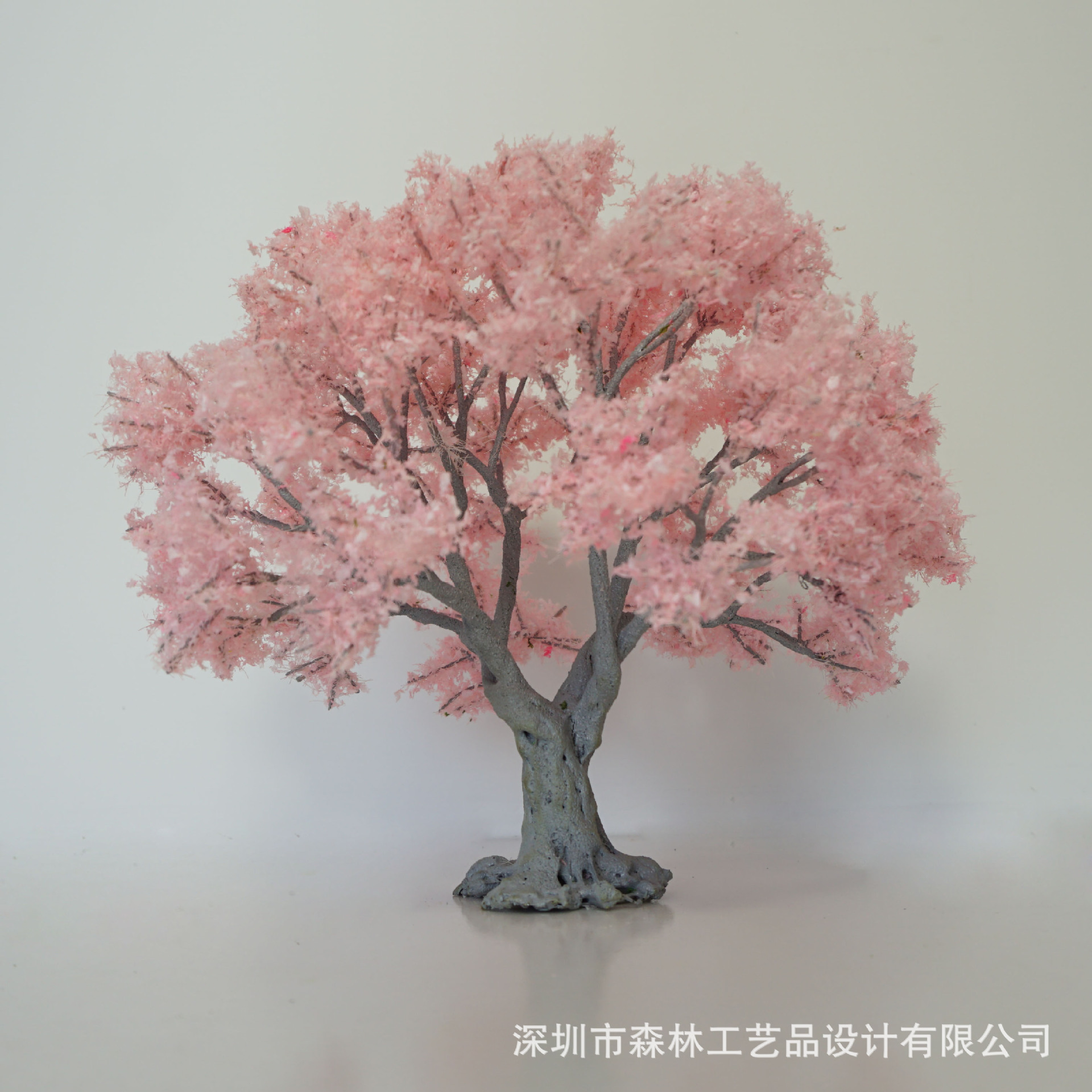 DSC03558