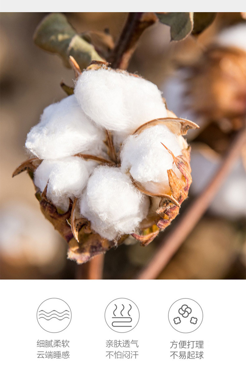 7d39ba25-2f66-4793-91e9-83db8c8573c8.jpe