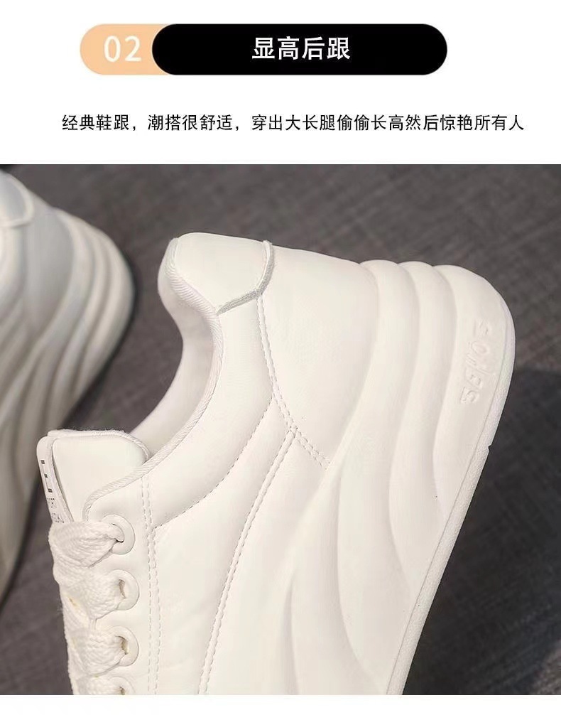 微信图片_20240912173332.jpg
