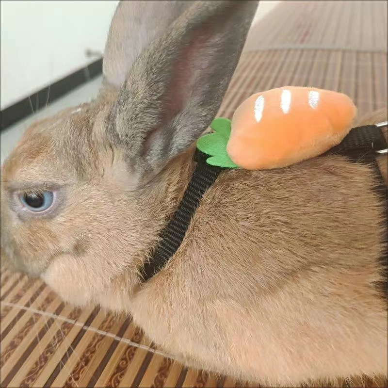 fc0aa860-3b4f-46b5-b834-d0faf2742455.jpe