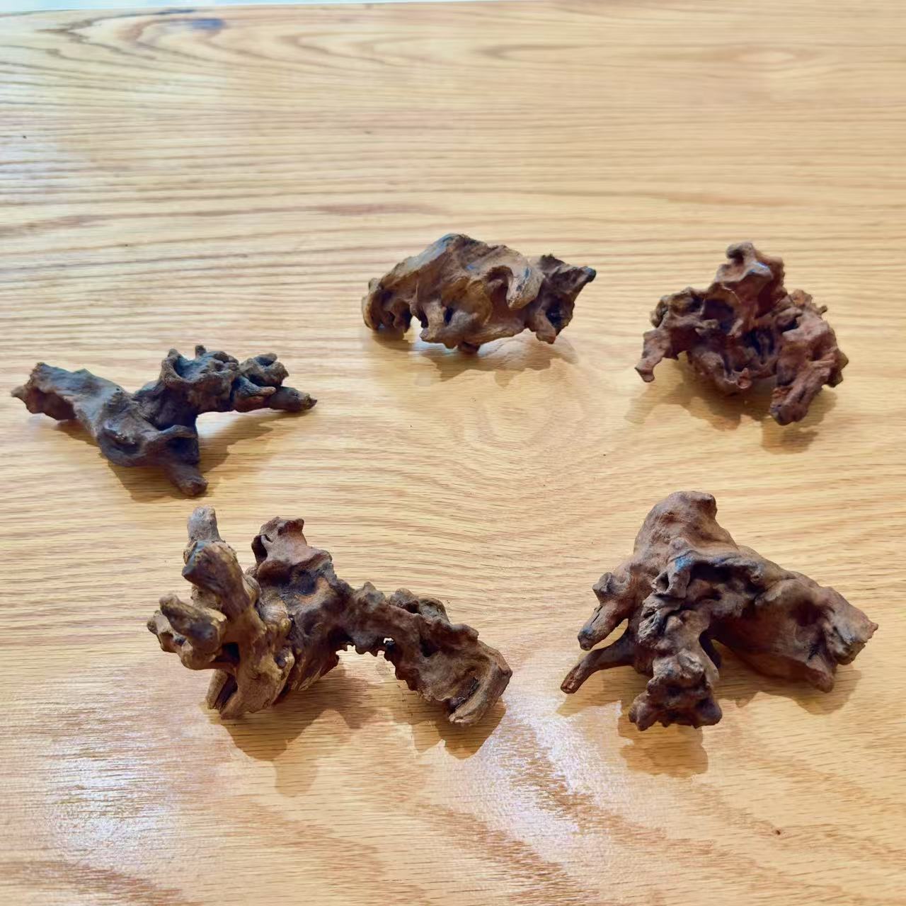 微信图片_20250617114820_1792