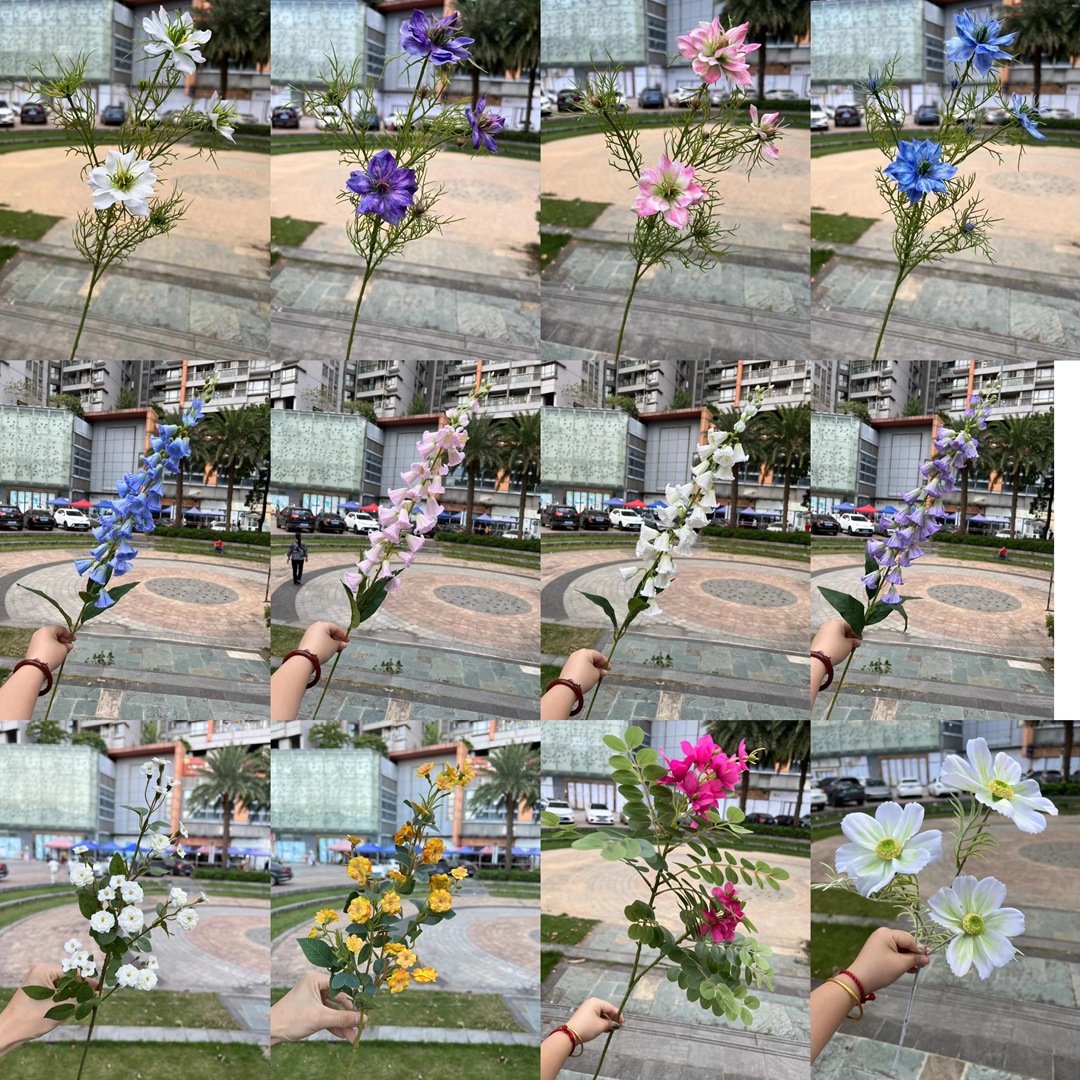 微信图片_20240818143525