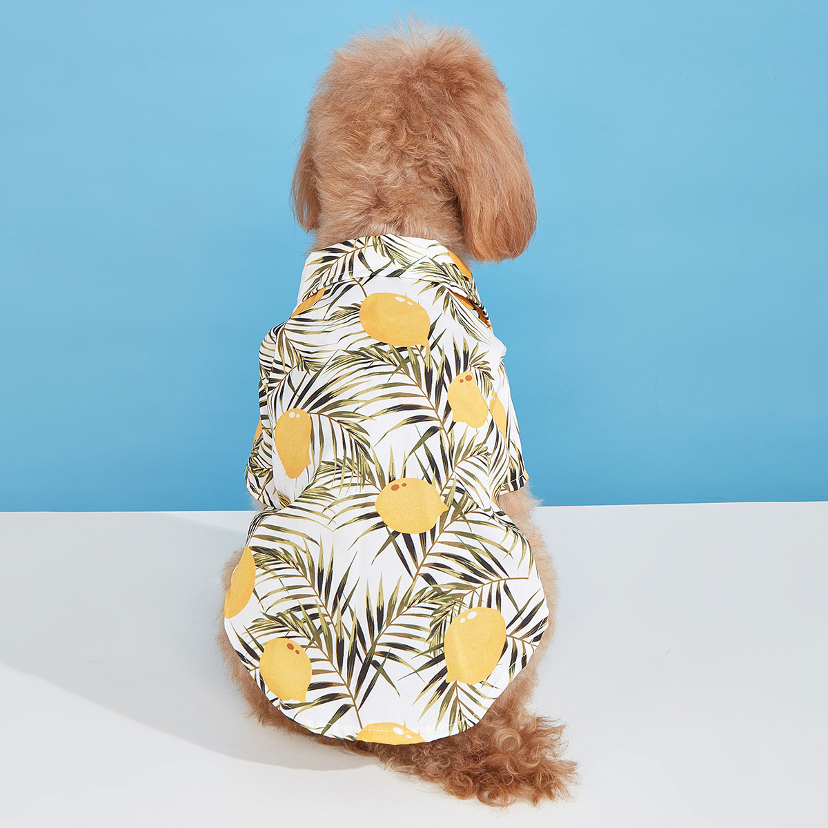 海滨度假风宠物衣服 欧康宠物用品
