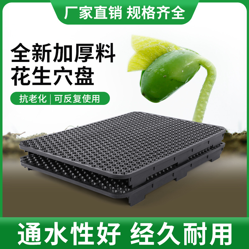 花生穴盘2.jpg