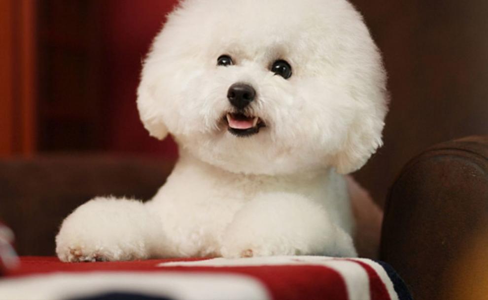 a857157f-02dd-4402-a05d-d572d66ebc61.jpe