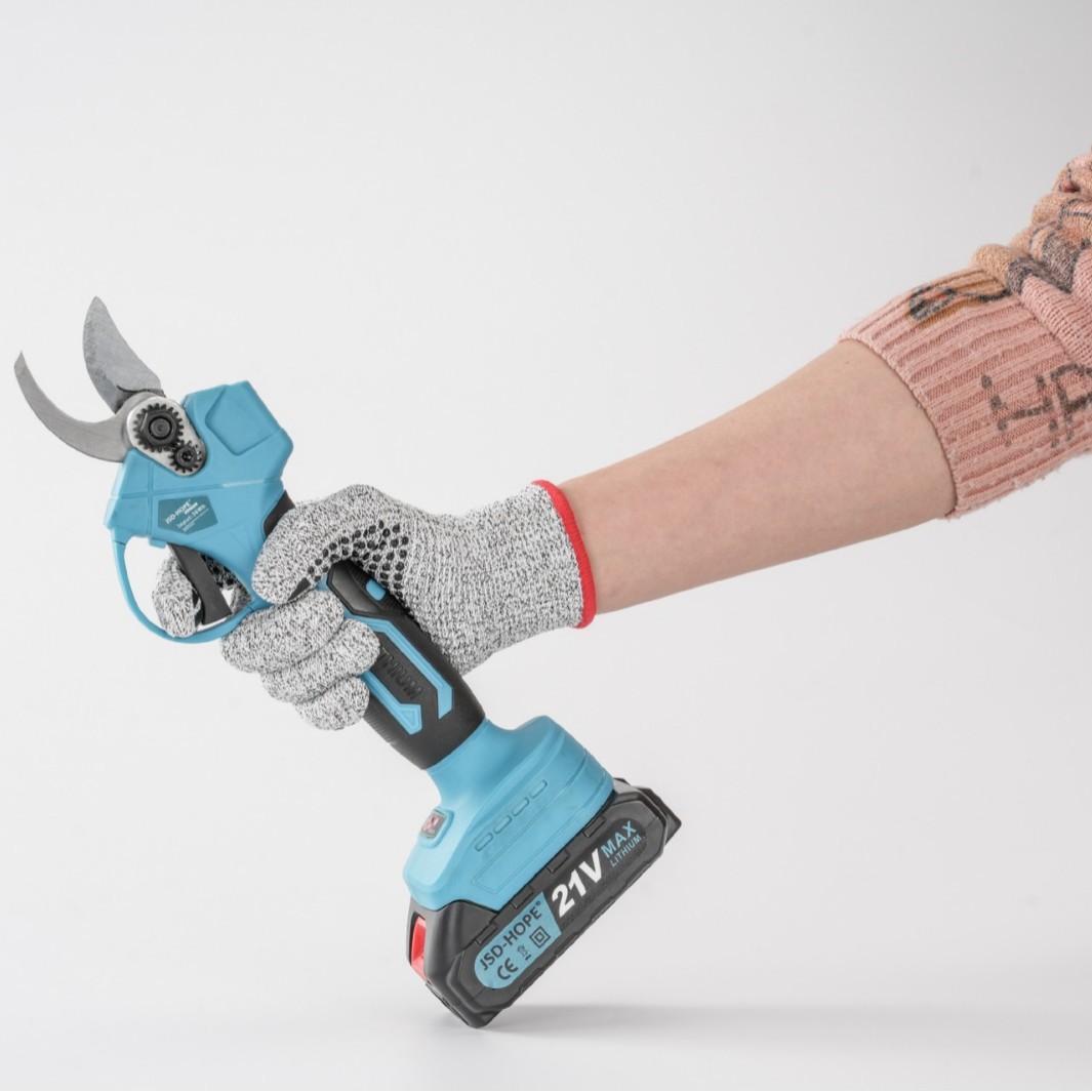 2025-04-21 13:55:06.jpg