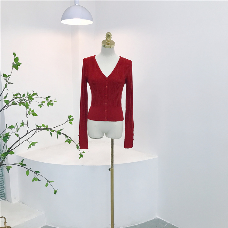 2024_09_16_19_07_IMG_9961_副本.j