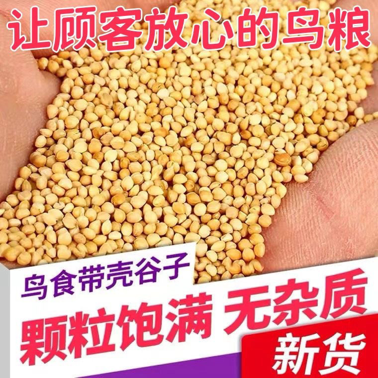 30079ac5-e4e3-4535-a02e-bf7e3f9f7ad6.jpe