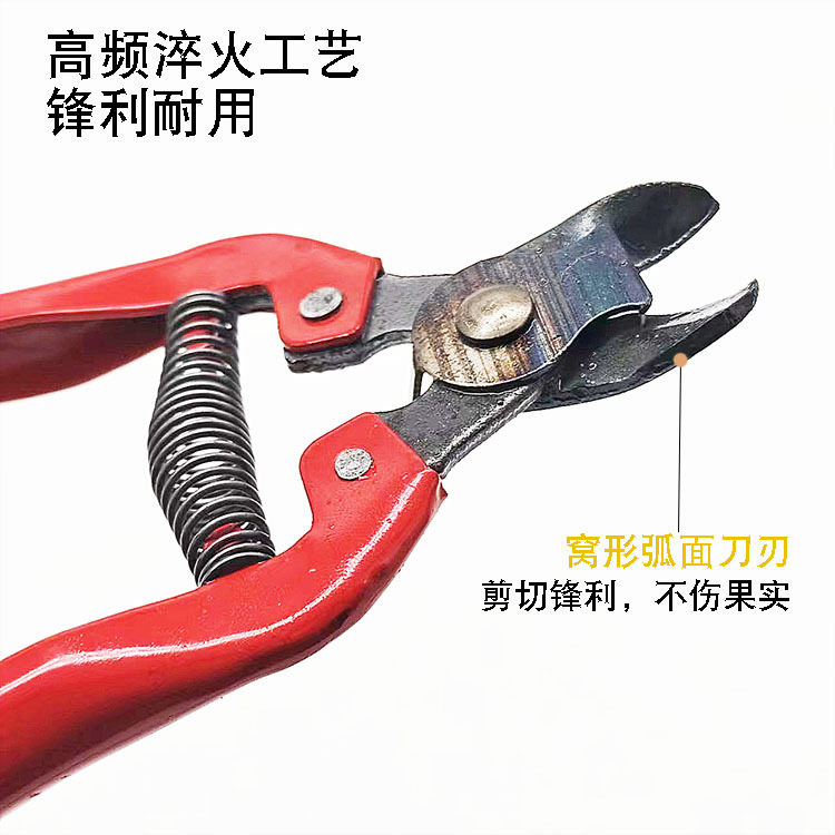 详情.jpg