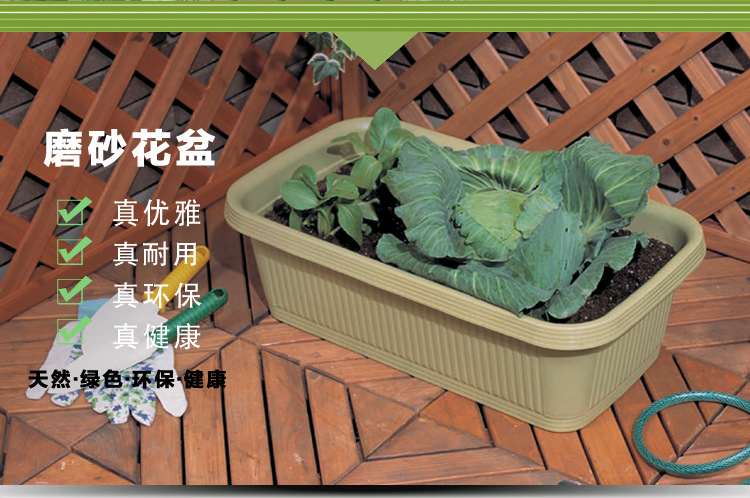 详情图片_03.jpg