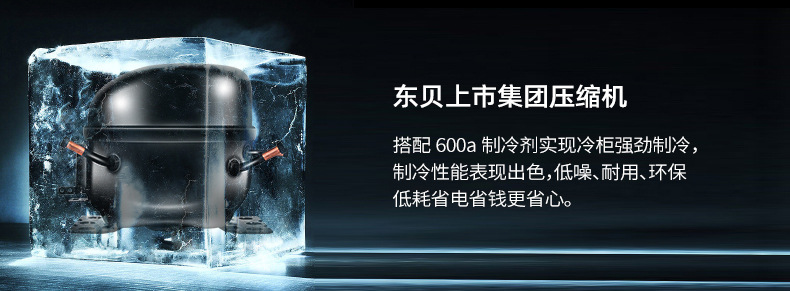 鑫福德卧式冰柜_09