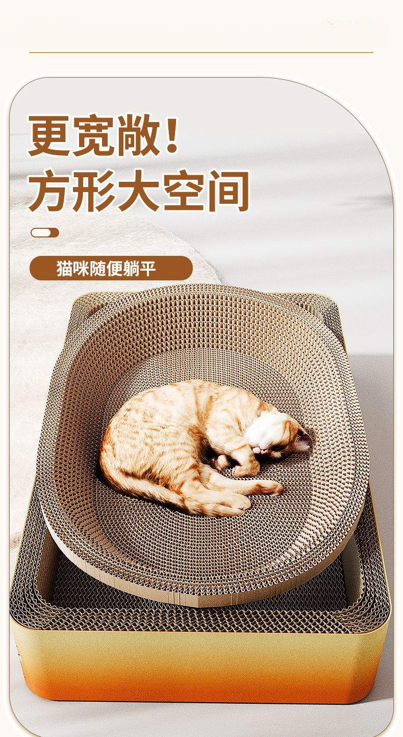 dfaf3d69-df6a-412a-bbf1-f187f559f6fc.jpe