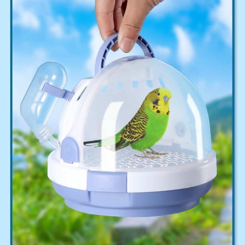 35a0ff20-05a4-4afb-b47f-b4289a583afb.jpe