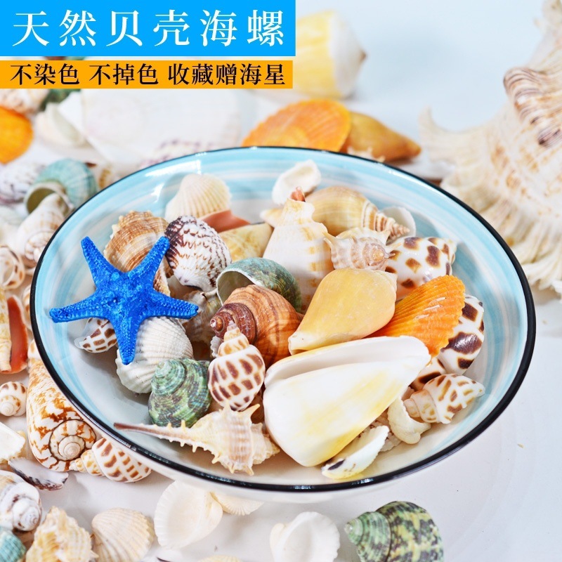 c0ce9de1-3374-4faf-a173-854ce6434d79.jpe