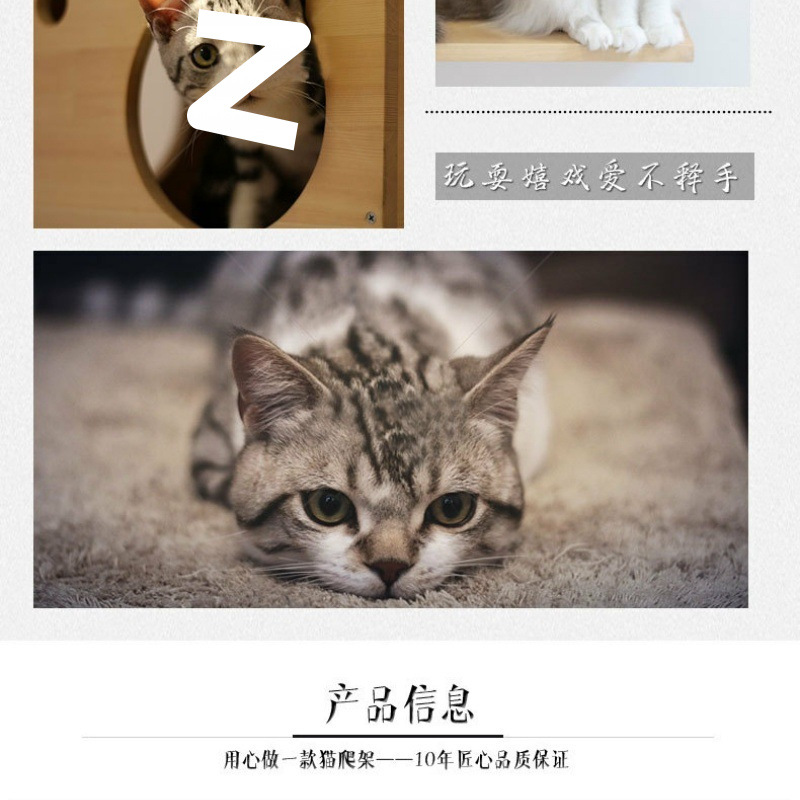 6088a537-8791-4767-b015-8acd582b5ee3.jpe