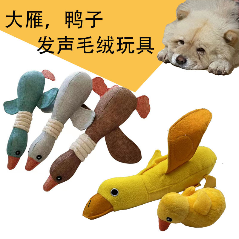 大雁，大鸭子