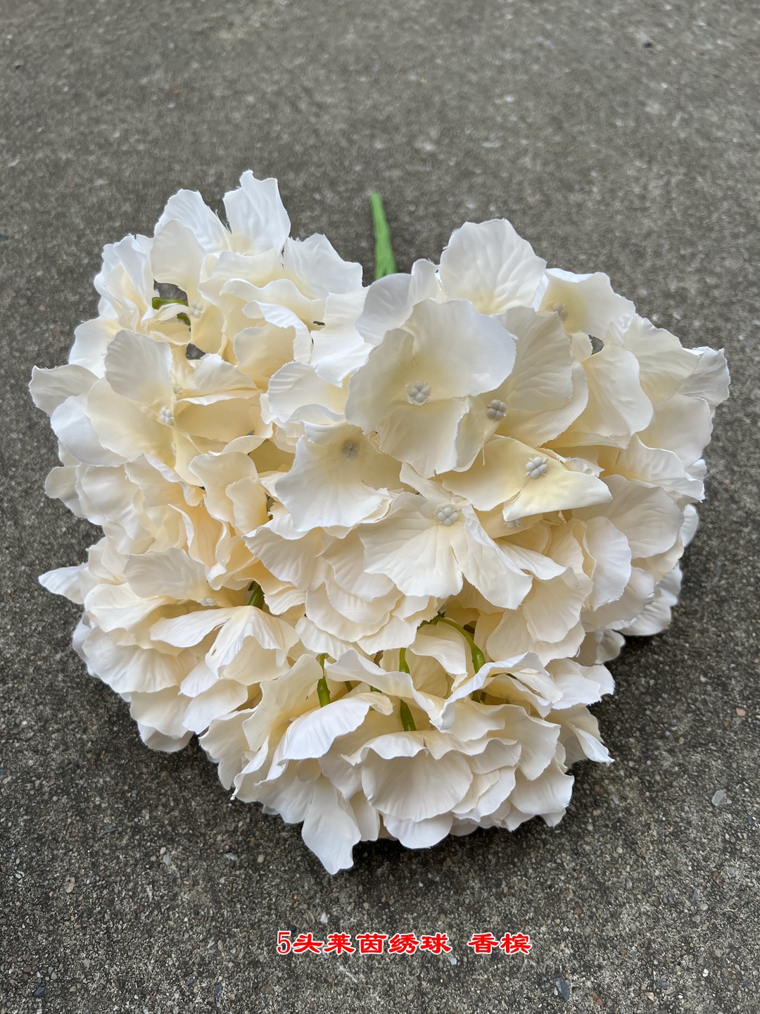 微信图片_20220818113649