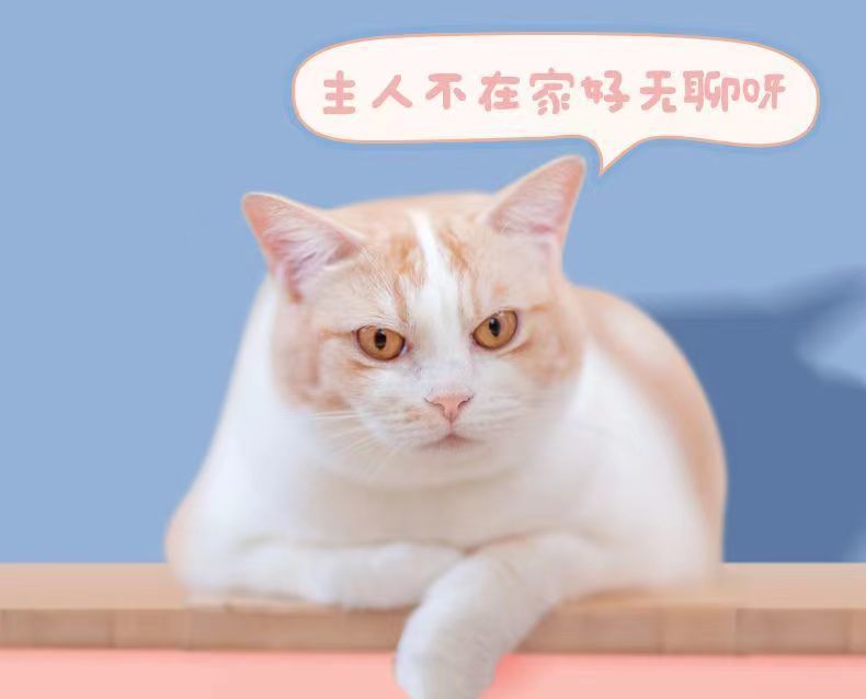 df161465-97de-40b8-bd9f-d4d8fce8dd4e.jpe