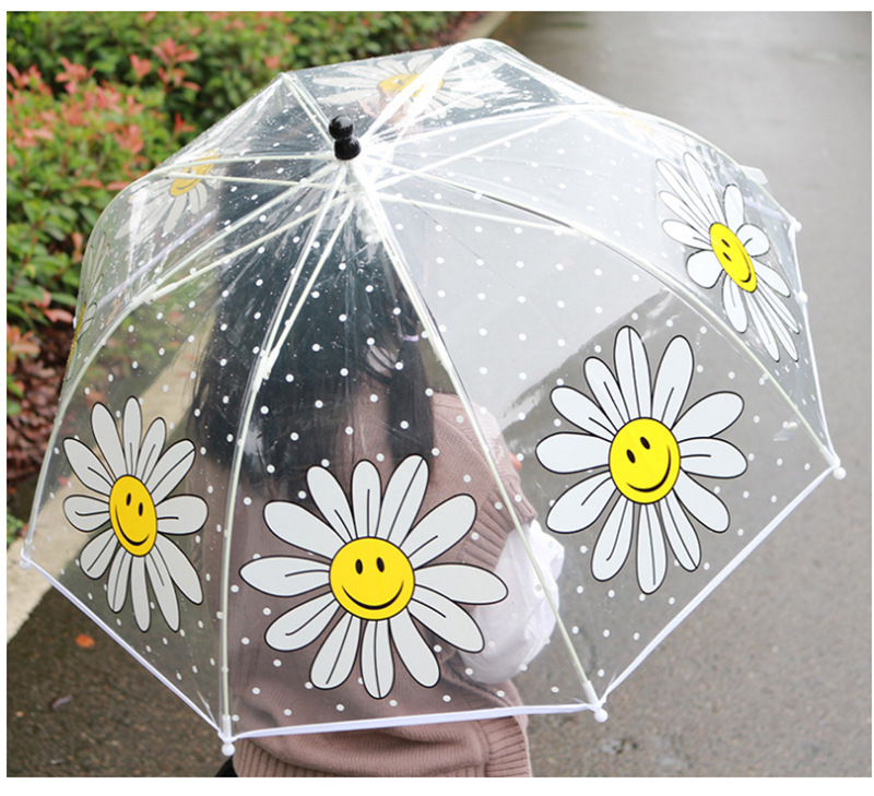 阿波罗透明伞_11