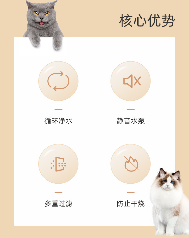 e2a6bb56-b62c-4817-8955-5c77ed59ec61.jpe