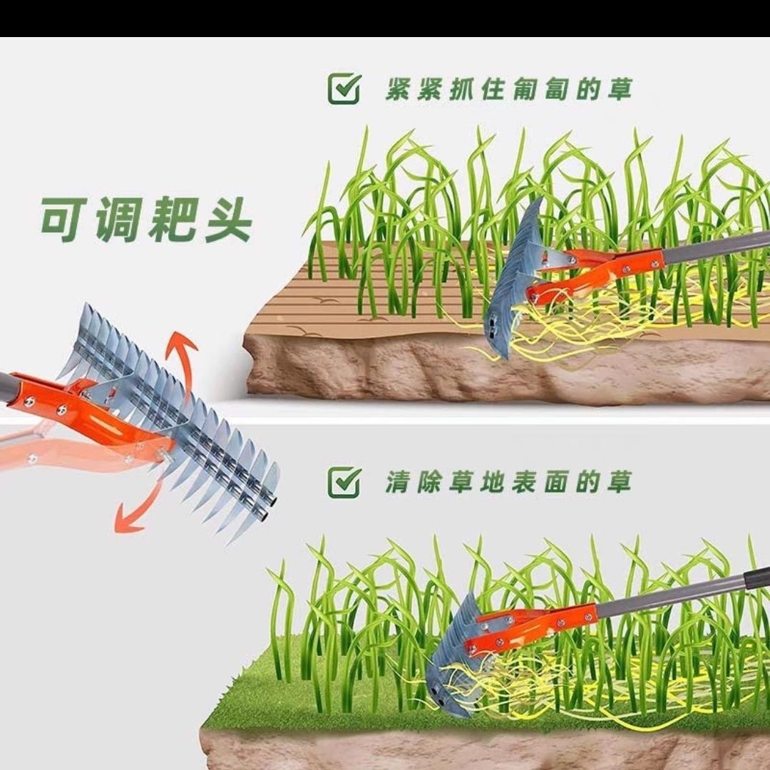 微信图片_202504181507194.jpg