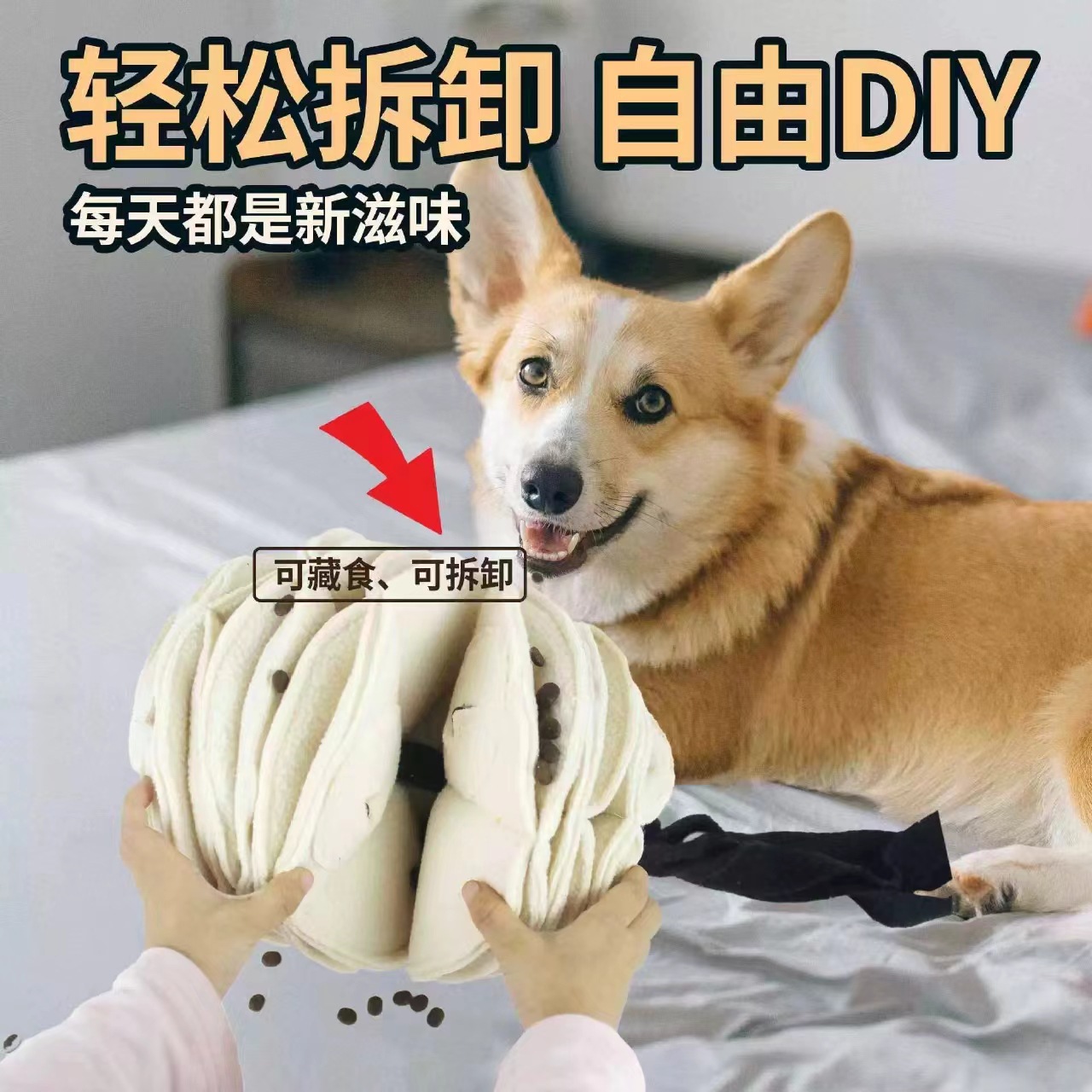 微信图片_20240701215440