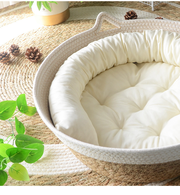 e3768056-b57d-48a3-9e7c-a4acab664dd2.jpe