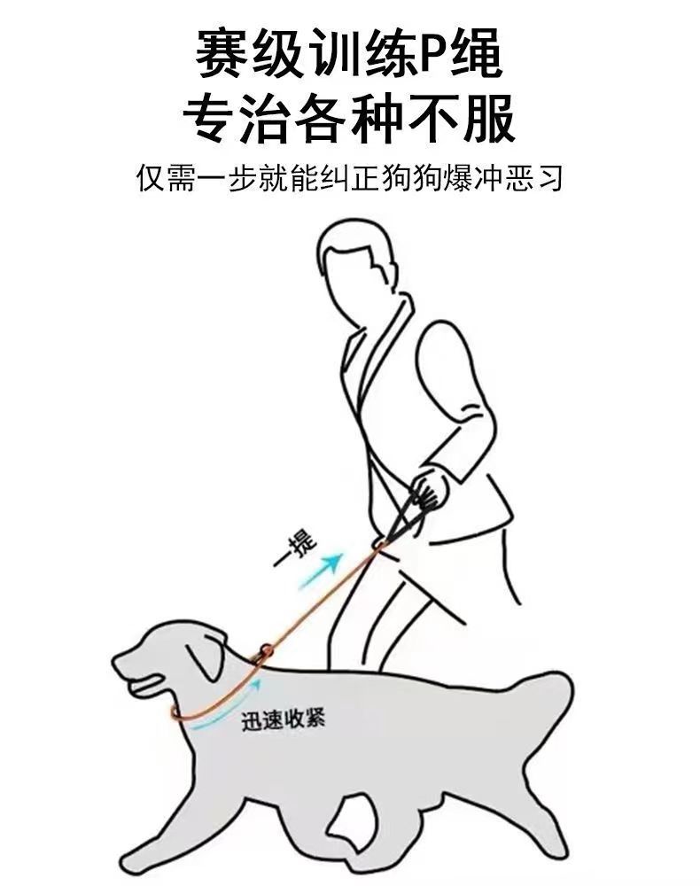 9cff4bc00712e3c8278c5ffc20dbd4