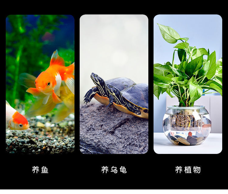 1bceb823-9861-4d49-b866-f90cb3b48014.jpe