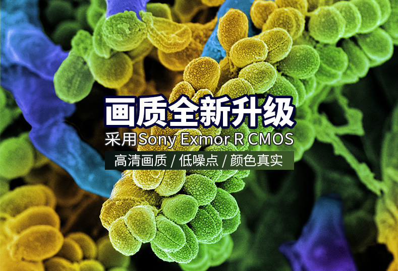 产品详情介绍_01.jpg