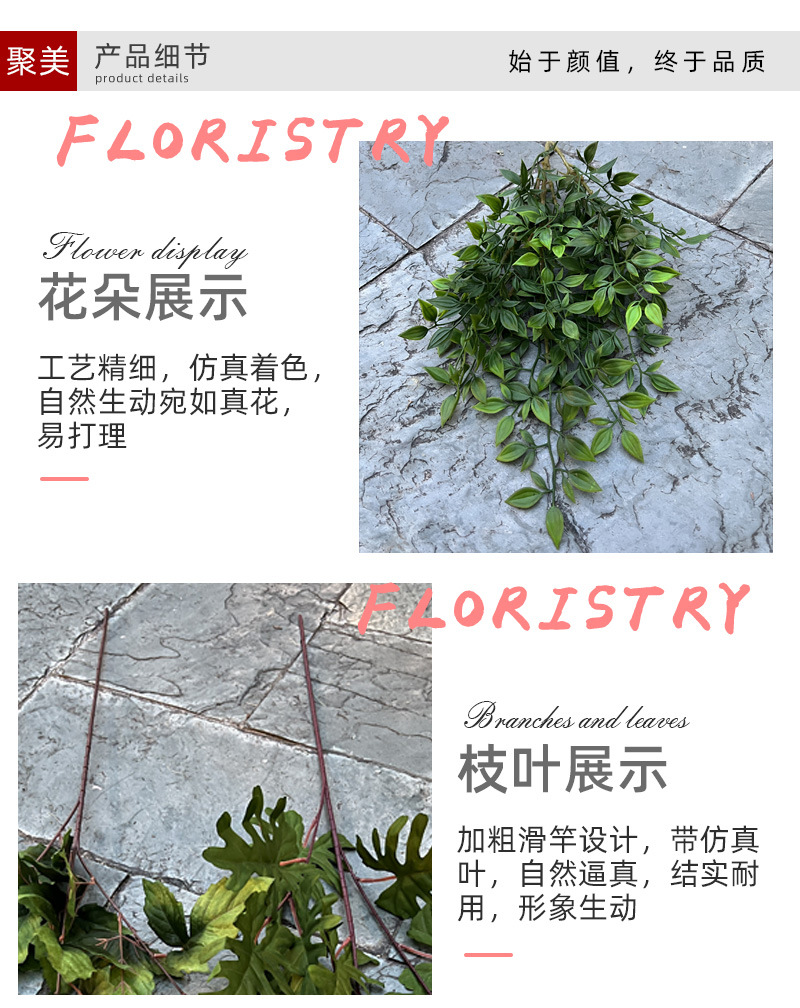 中号飞燕草-详情_04.jpg