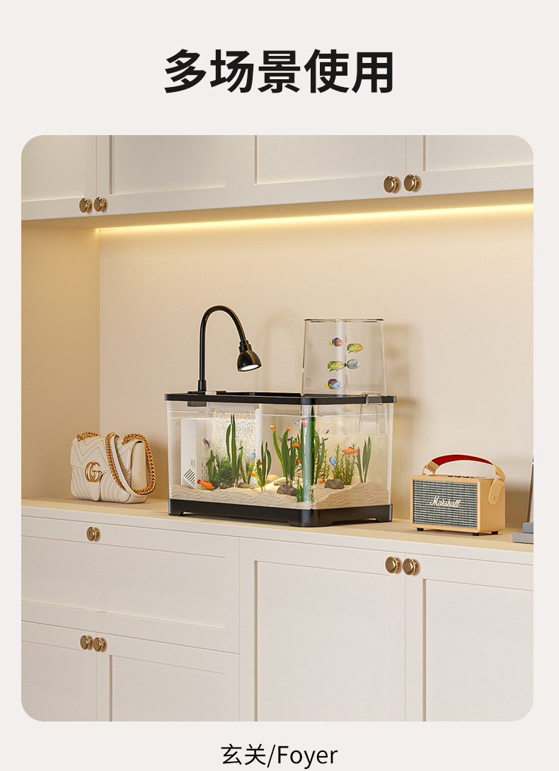 b5d51187-ac79-412d-ab95-82a58e12bfb6.jpe