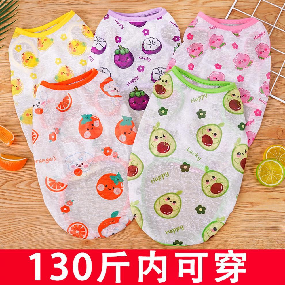 ddd759d9-bd92-4a8c-b4c1-c352d4f03437.jpe